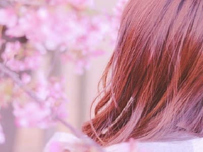 美容室 新松戸 テンダ オシャレ染め、白髪染めとカラーにも色々ありますが、今は、お客様の地肌にあったカラーがあります。沢山のバリエーションから選んでください。